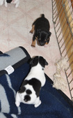 Enlarge photo 47
