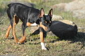 Enlarge photo 12