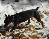 Enlarge photo 6