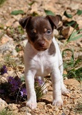 Enlarge photo 13