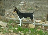 Enlarge photo 19