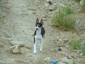 Enlarge photo 23