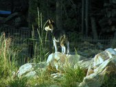 Enlarge photo 24