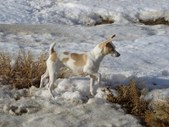 Enlarge photo 13