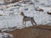 Enlarge photo 14