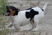 Enlarge photo 14