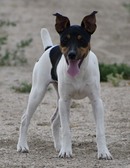 Enlarge photo 11