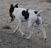 Enlarge photo 13
