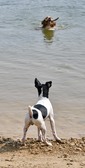 Enlarge photo 3