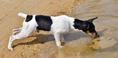 Enlarge photo 5