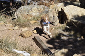 Enlarge photo 20