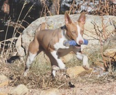 Enlarge photo 24