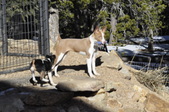 Enlarge photo 22