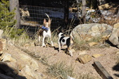 Enlarge photo 26