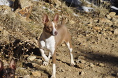 Enlarge photo 27