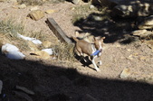 Enlarge photo 28
