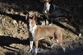Enlarge photo 29
