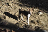 Enlarge photo 30