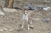 Enlarge photo 32