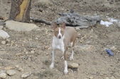 Enlarge photo 33