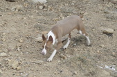 Enlarge photo 35