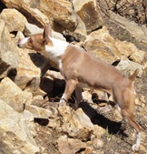 Enlarge photo 14