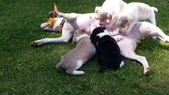 Enlarge photo 41