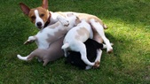Enlarge photo 39