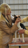 Enlarge photo 36