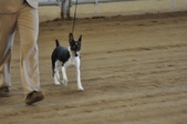 Enlarge photo 38