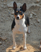 Enlarge photo 9