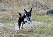 Enlarge photo 33