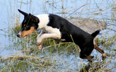 Enlarge photo 32