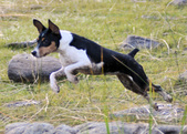 Enlarge photo 30