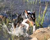 Enlarge photo 20