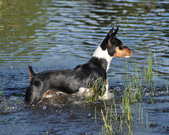 Enlarge photo 16