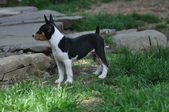 Enlarge photo 65