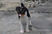 Enlarge photo 67