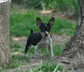Enlarge photo 57