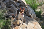 Enlarge photo 10