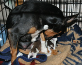 Enlarge photo 32