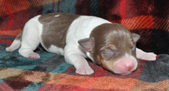 Enlarge photo 27