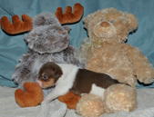 Enlarge photo 25