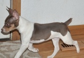 Enlarge photo 18