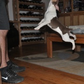 Enlarge photo 17