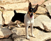 Enlarge photo 34