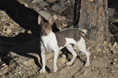 Enlarge photo 11