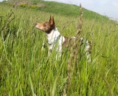 Enlarge photo 9