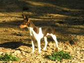 Enlarge photo 19
