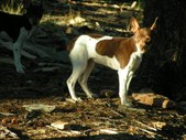 Enlarge photo 21